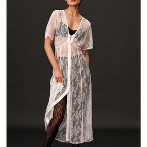Anthropologie Sheer Lace Buttondown Dress